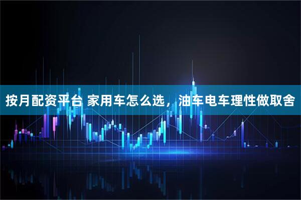 按月配资平台 家用车怎么选，油车电车理性做取舍